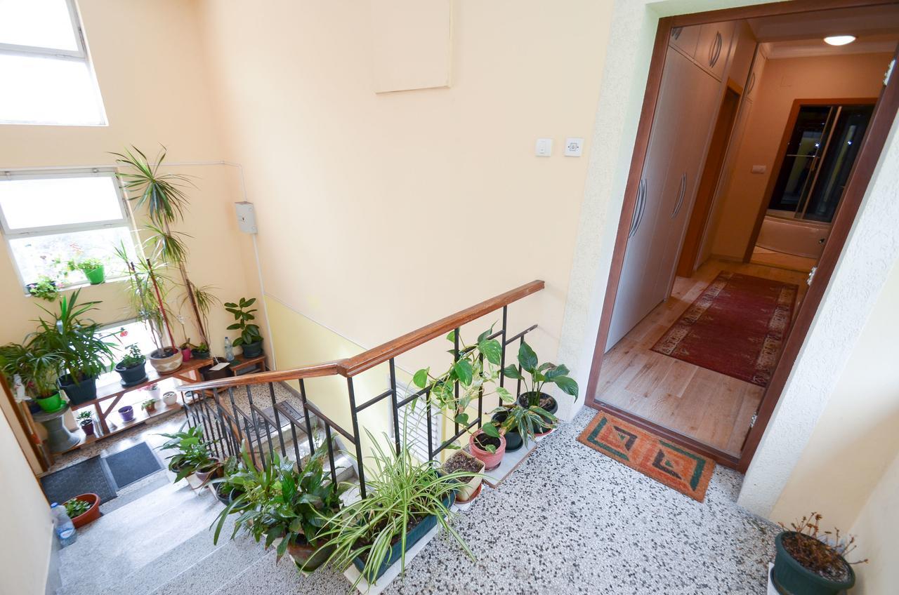 Central Apartment Котор Экстерьер фото